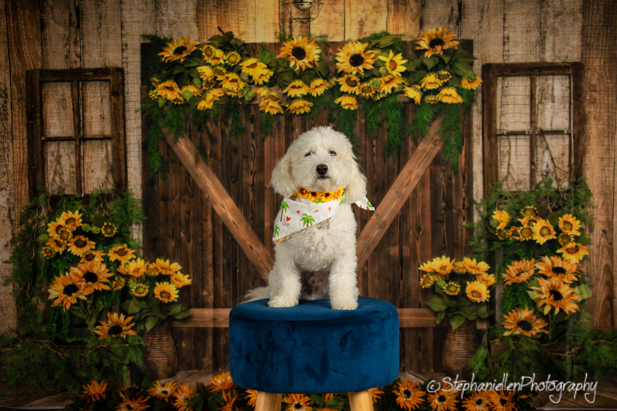 Kate Été Tournesols Porte en bois Toile de fond conçue par Emetselch - Kate Backdrop FR