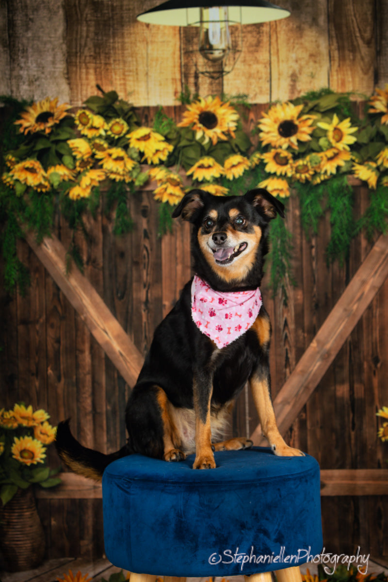 Kate Été Tournesols Porte en bois Toile de fond conçue par Emetselch - Kate Backdrop FR