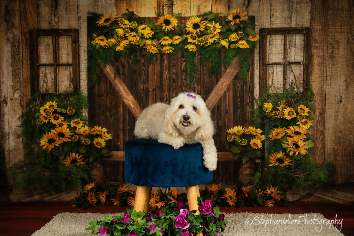 Kate Été Tournesols Porte en bois Toile de fond conçue par Emetselch - Kate Backdrop FR