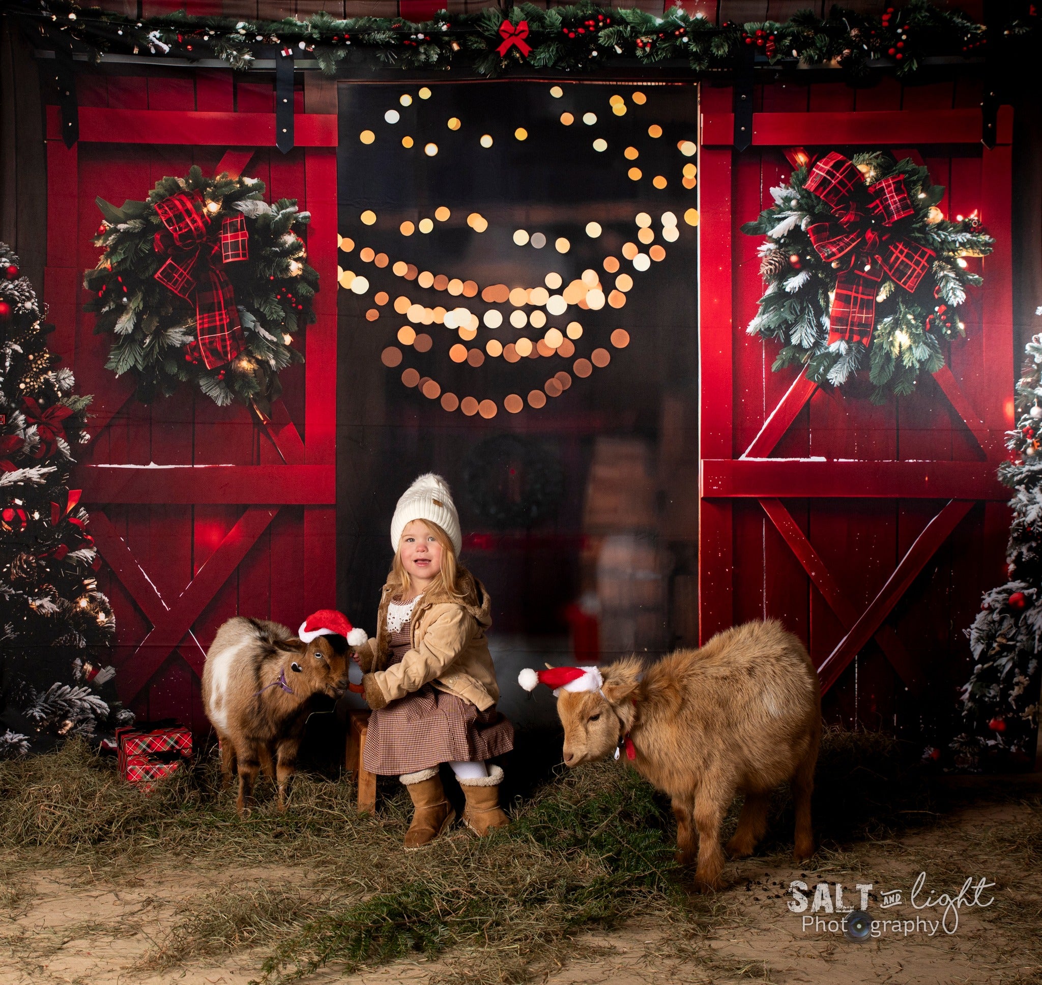 Kate Noël Nuit Rouge Porte de grange Neige Toile de fond conçue par Emetselch - Kate Backdrop FR