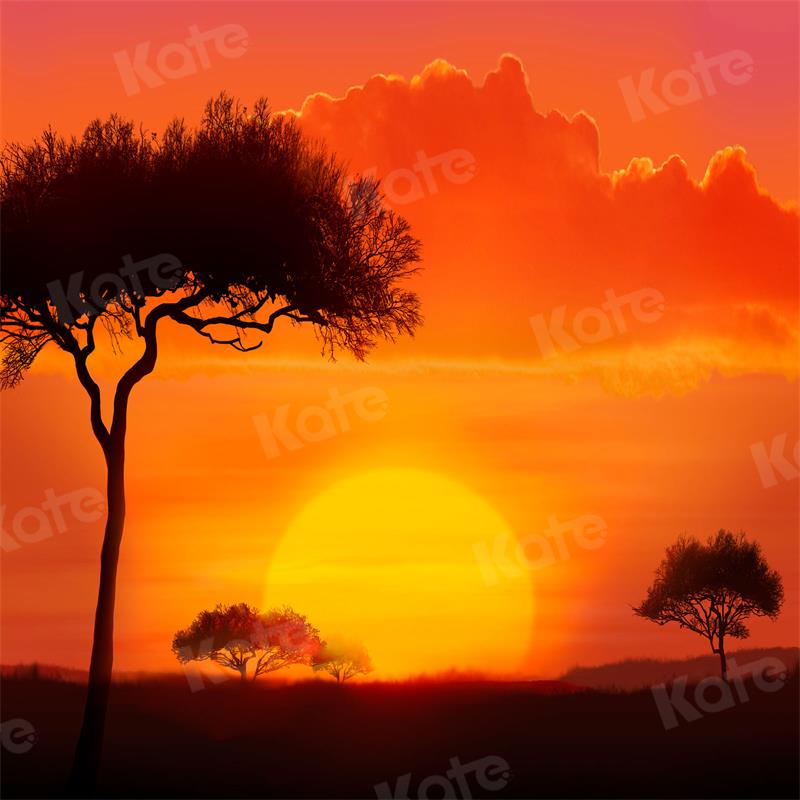 Kate Naturel Coucher de soleil Arbre Toile de fond pour la photographie