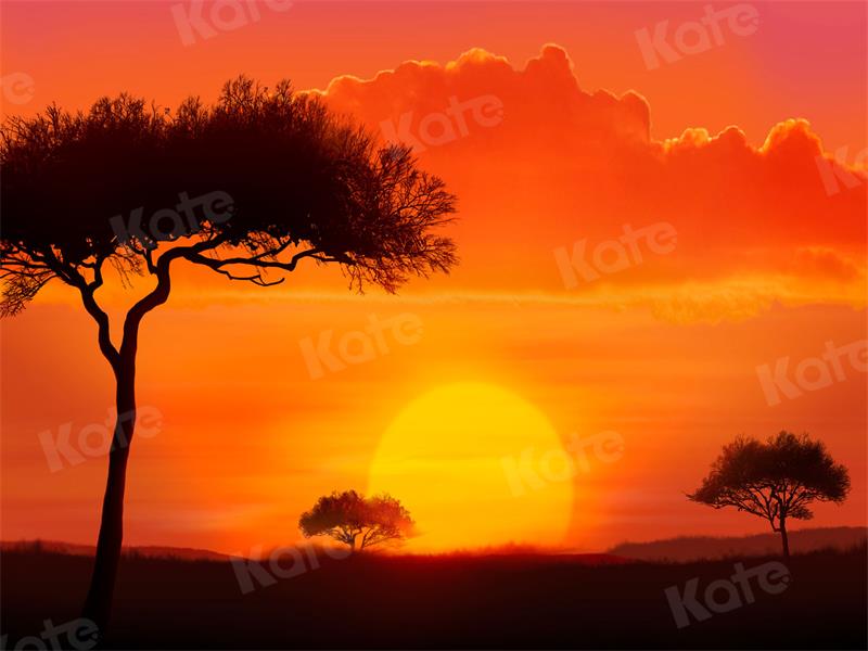 Kate Naturel Coucher de soleil Arbre Toile de fond pour la photographie