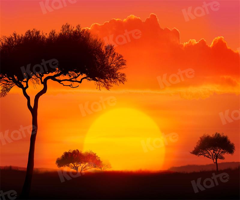 Kate Naturel Coucher de soleil Arbre Toile de fond pour la photographie