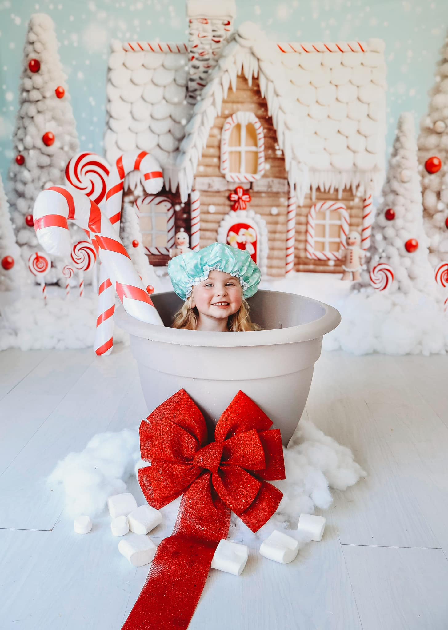 Kate Bonbons Neige Maison de pain d'épice Toile de fond Conçu par Chain Photographie - Kate Backdrop FR