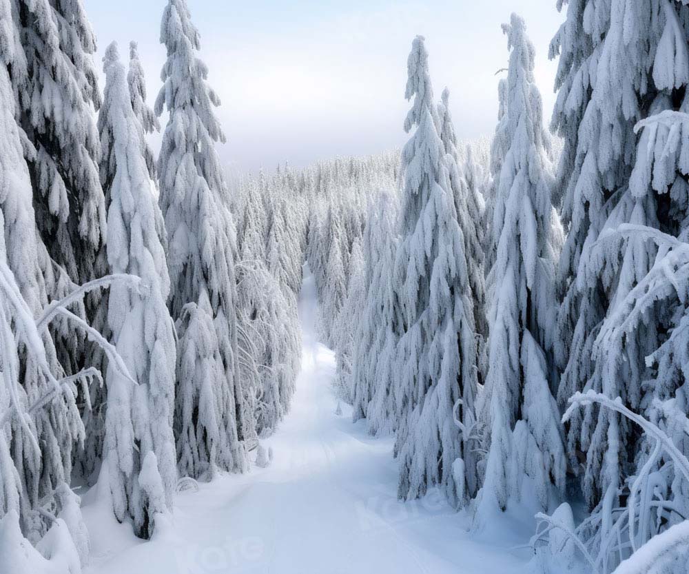 Kate Hiver Arbres Neige Blanc Toile de fond Conçu par Chain Photographie - Kate Backdrop FR