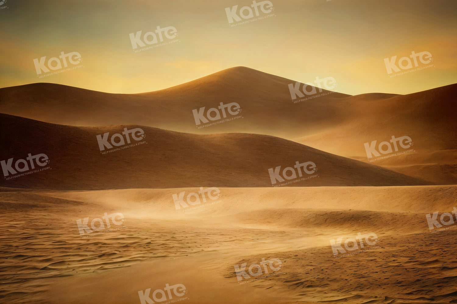 Kate Dune Désert de sable Toile de fond pour la photographie - Kate Backdrop FR