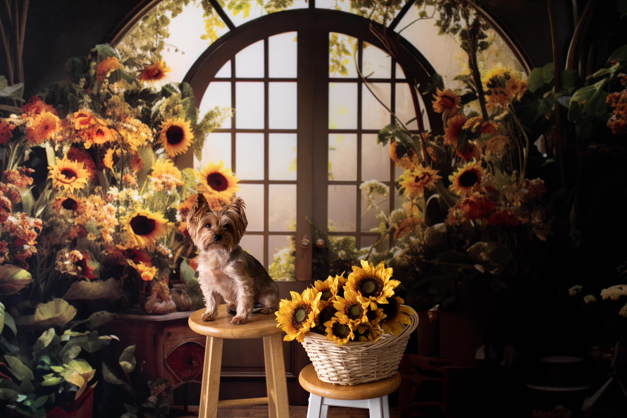 Kate Automne Maison de Tournesol Porte Toile de fond conçue par Emetselch - Kate Backdrop FR