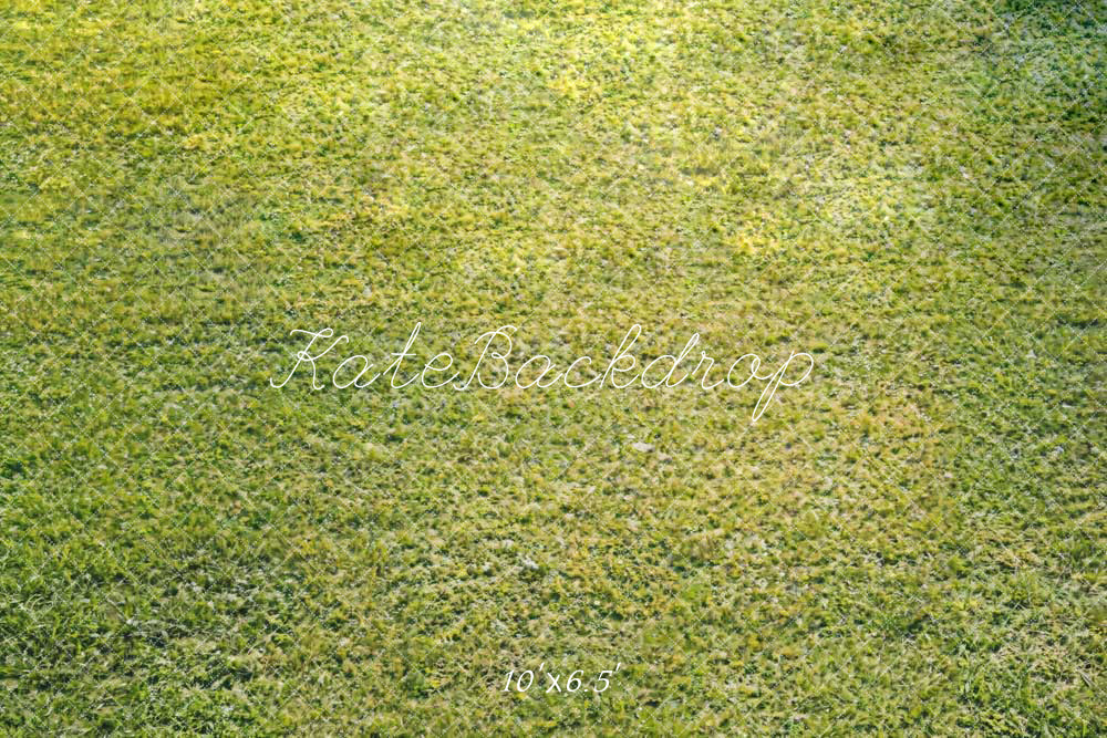 Kate Printemps Vert Herbe Sol Toile de fond conçue par Kate Image - Kate Backdrop FR