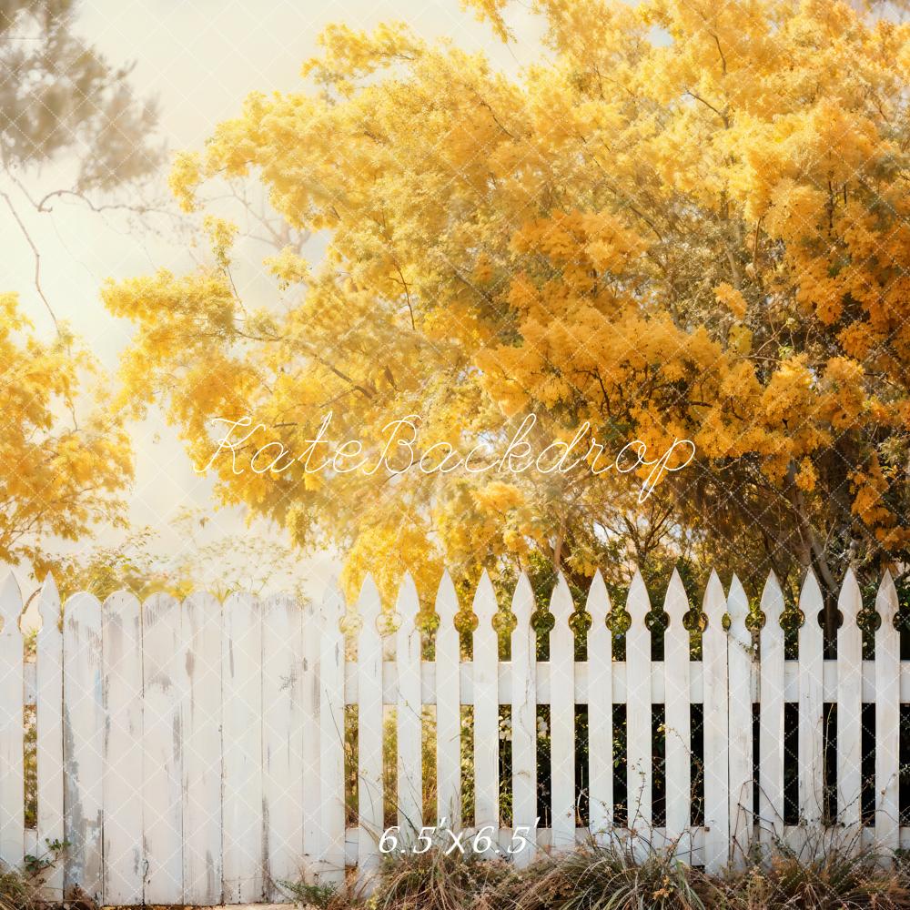 Kate Automne Arbres Doré Clôture Toile de fond conçue par Chain Photographie - Kate Backdrop FR