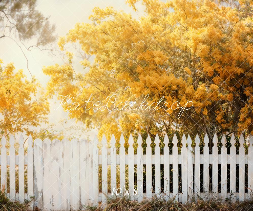 Kate Automne Arbres Doré Clôture Toile de fond conçue par Chain Photographie - Kate Backdrop FR