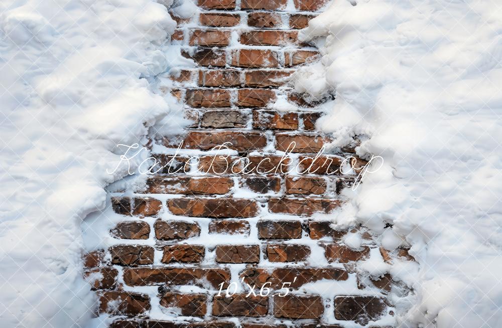 Kate Hiver Blanc Neige Chemin de briques Sol Toile de fond conçue par Kate Image - Kate Backdrop FR