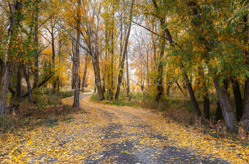 Kate Automne Forêt Jaune Route de campagne Toile de fond conçue par Lisa Granden - Kate Backdrop FR