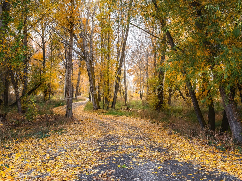 Kate Automne Forêt Jaune Route de campagne Toile de fond conçue par Lisa Granden - Kate Backdrop FR