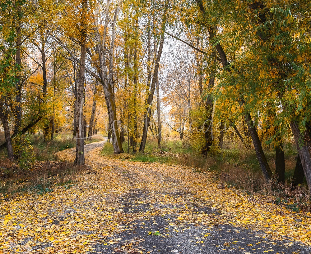 Kate Automne Forêt Jaune Route de campagne Toile de fond conçue par Lisa Granden - Kate Backdrop FR