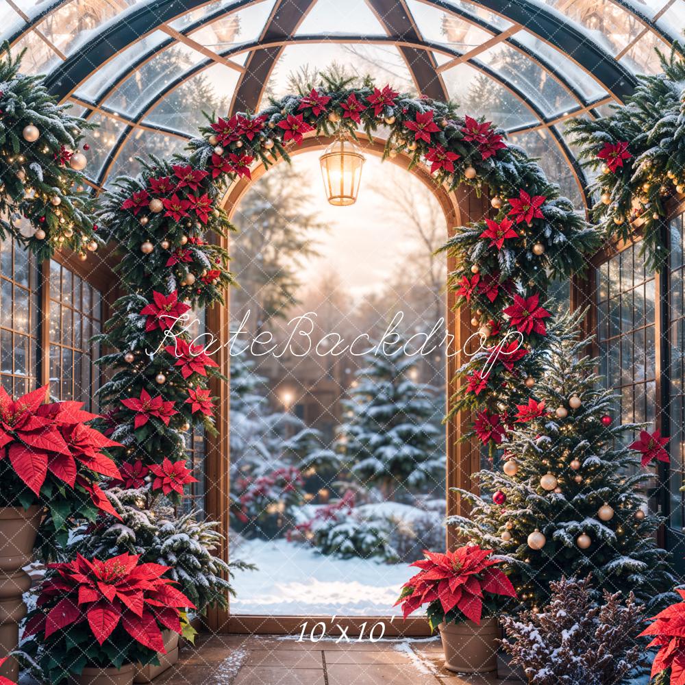 Kate Noël Verre Serre Plantes Neige Fleurs Toile de fond conçue par Emetselch