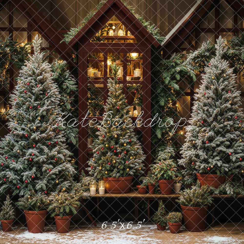 Kate Arbres de Noël Lumières Extérieur Toile de fond conçue par Emetselch - Kate Backdrop FR