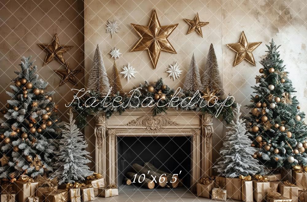 PROMO Kate Élégant Noël Cheminée Décor Étoiles Toile de fond conçue par Patty Robert - Kate Backdrop FR