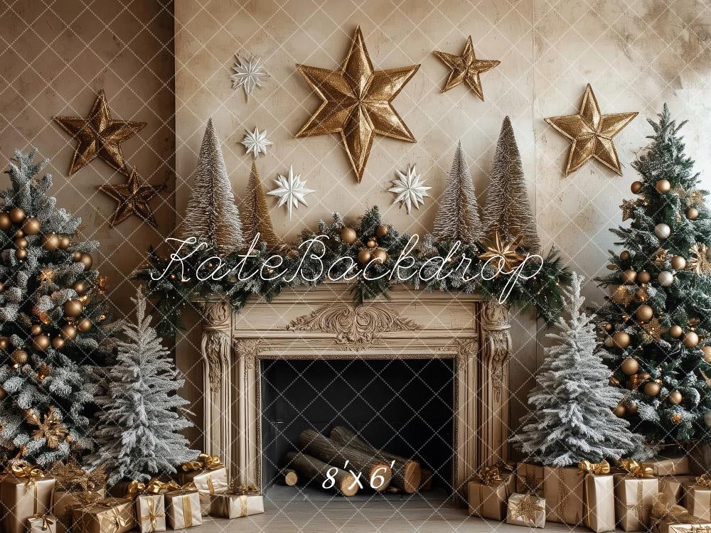 PROMO Kate Élégant Noël Cheminée Décor Étoiles Toile de fond conçue par Patty Robert - Kate Backdrop FR