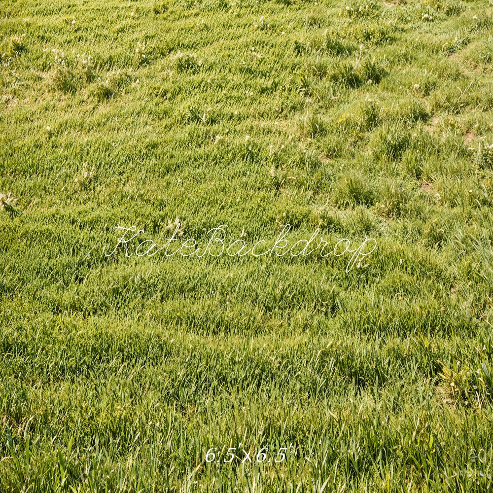 Kate Printemps Vert Herbe Champ Sol Toile de fond conçue par Emetselch - Kate Backdrop FR