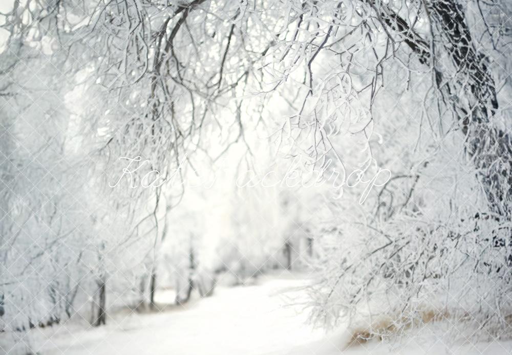 Kate Hiver Neige Forêt Allée Blanc Toile de fond conçue par Lidia Redekopp