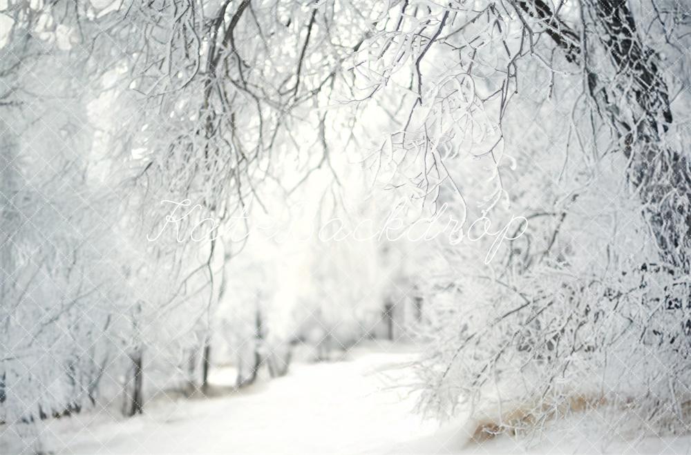 Kate Hiver Neige Forêt Allée Blanc Toile de fond conçue par Lidia Redekopp