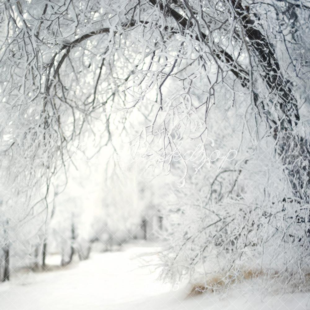 Kate Hiver Neige Forêt Allée Blanc Toile de fond conçue par Lidia Redekopp