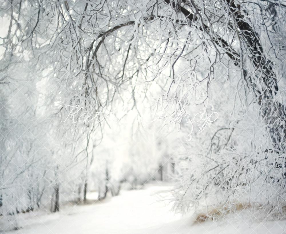 Kate Hiver Neige Forêt Allée Blanc Toile de fond conçue par Lidia Redekopp