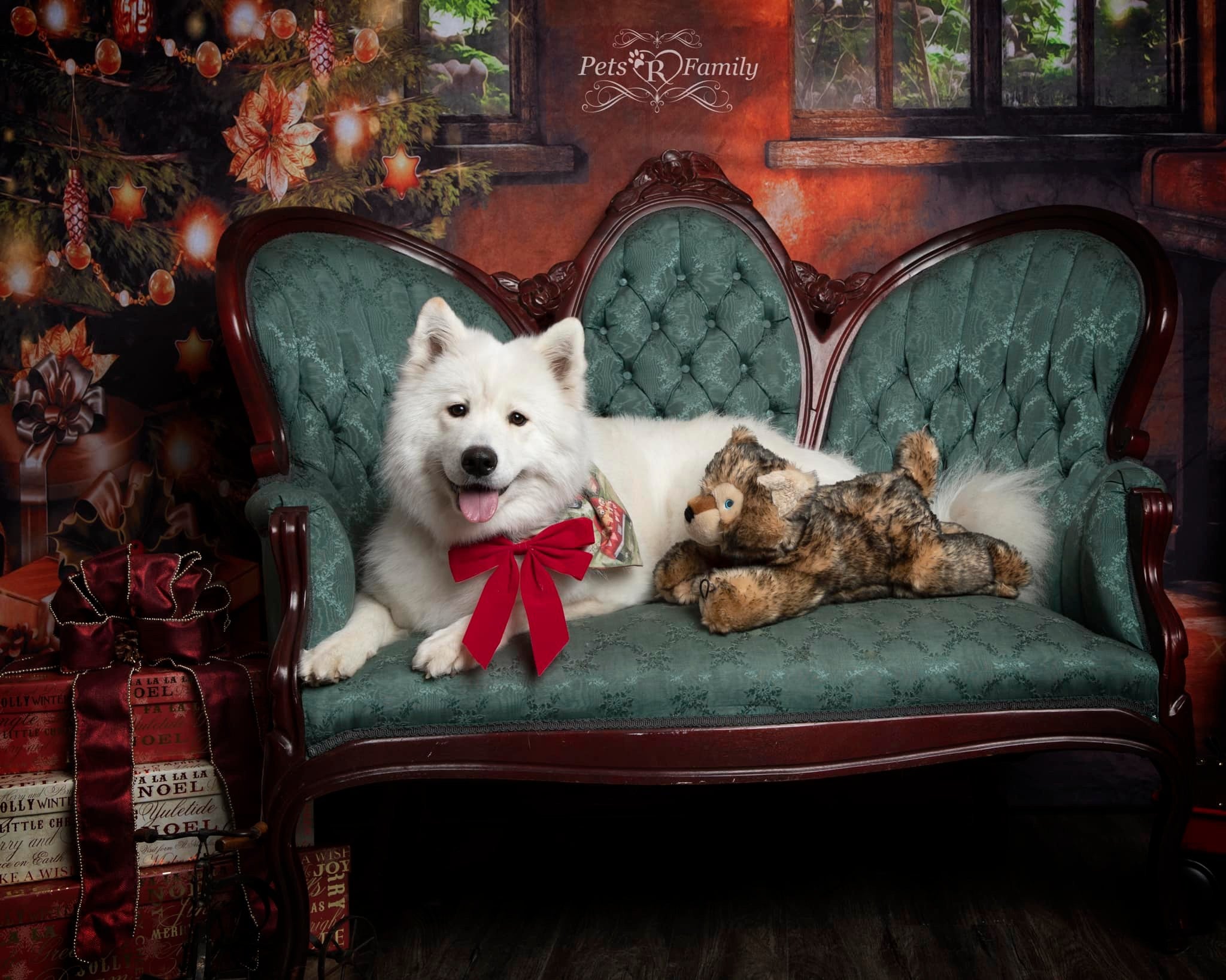 Kate Sapin de Noël Piano Fenêtre Toile de fond pour la photographie - Kate Backdrop FR