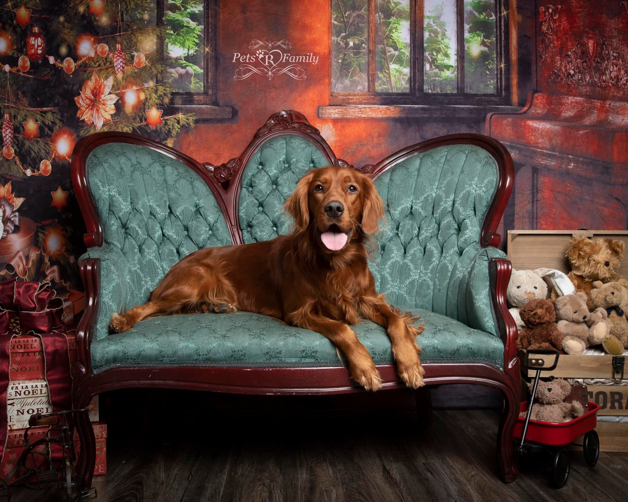 Kate Sapin de Noël Piano Fenêtre Toile de fond pour la photographie - Kate Backdrop FR