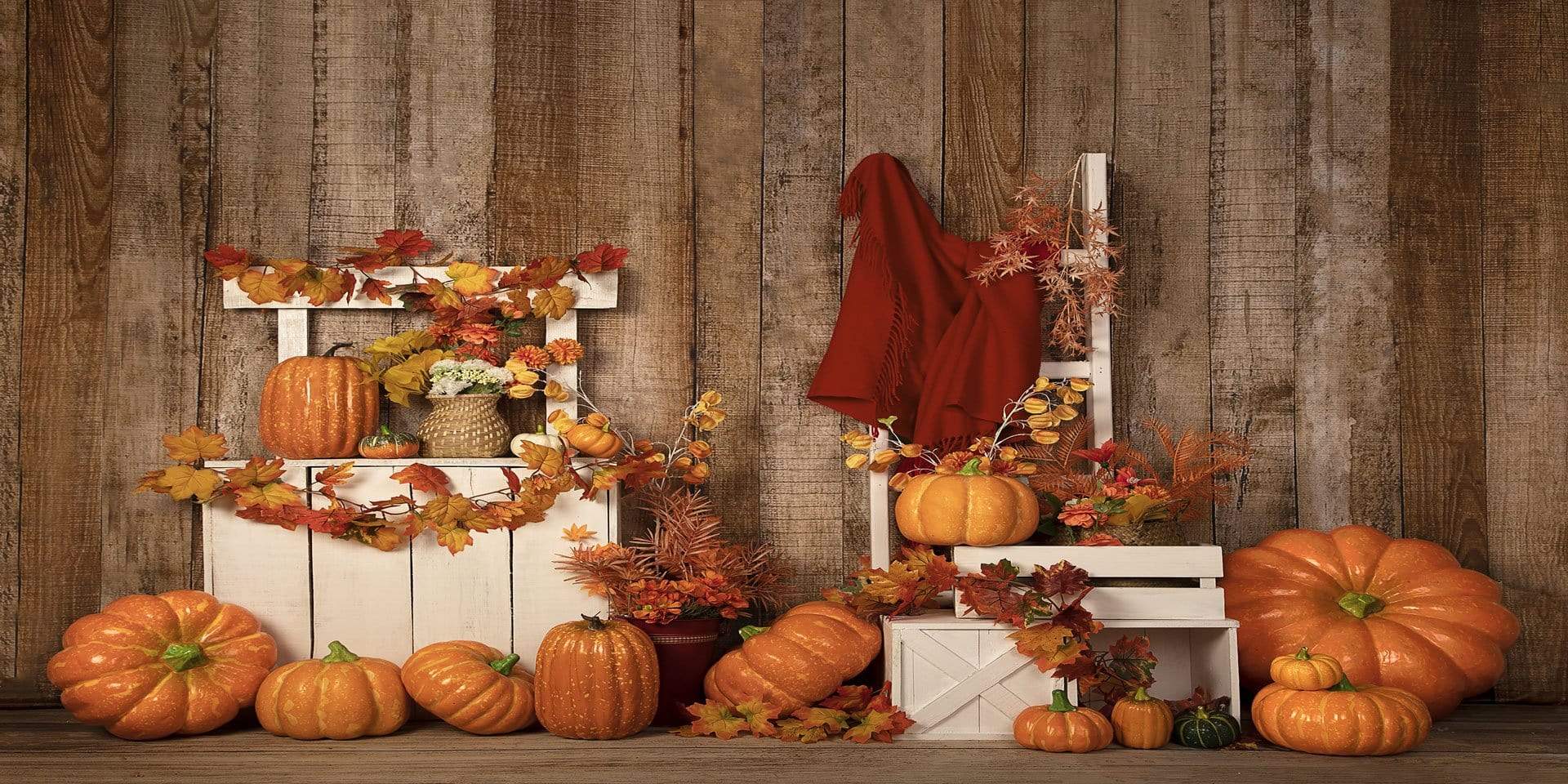 Kate Stand de citrouilles Automne Thanksgiving Toile de fond conçue par Jia Chan Photographie - Kate Backdrop FR