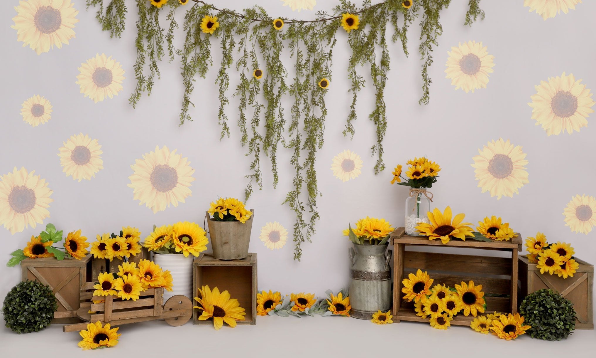 Kate Anniversaire Tournesol Printemps Toile de fond conçue par Melissa King - Kate Backdrop FR