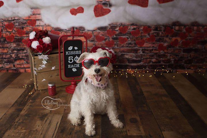 Kate Mur de briques Sombre Saint Valentin Rouge Toile de fond conçu par Jerry_Sina - Kate Backdrop FR